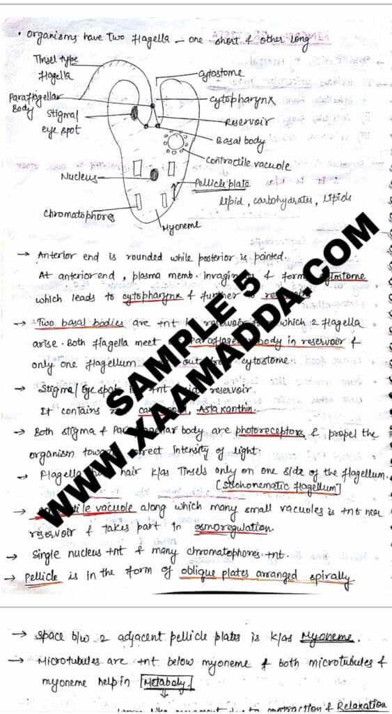 Best Handwritten Study Material Notes for NEET 